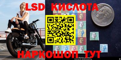 гидра Лесосибирск
